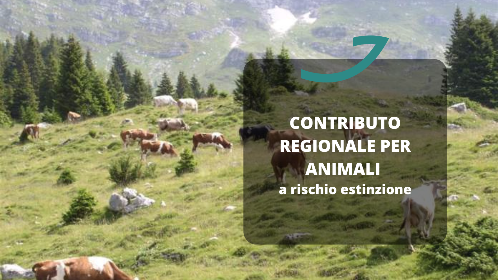 contributo animali via estinzione fvg